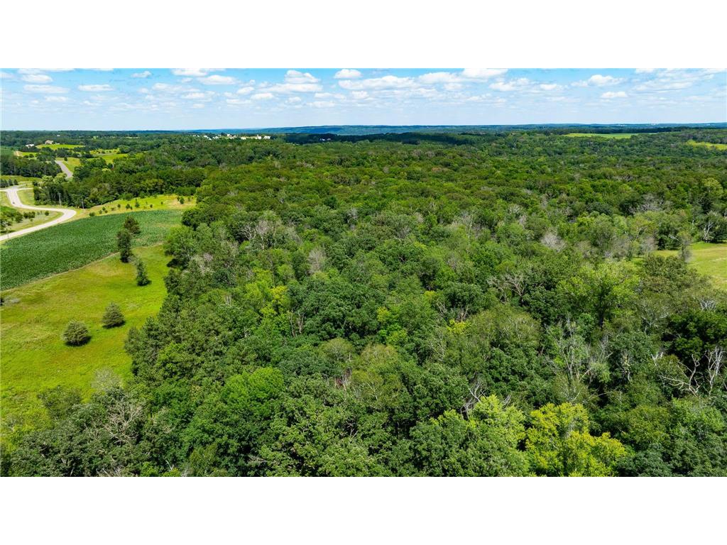 15055 Paul Avenue N May Twp MN 55047 6746351 image33