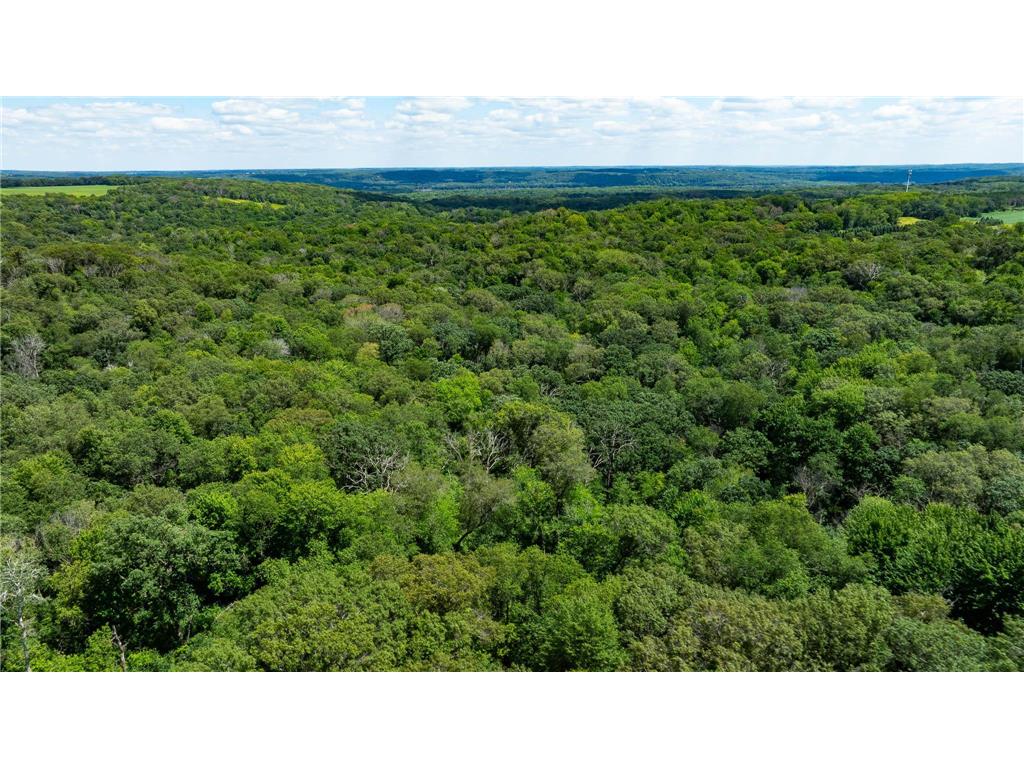 15055 Paul Avenue N May Twp MN 55047 6746351 image38