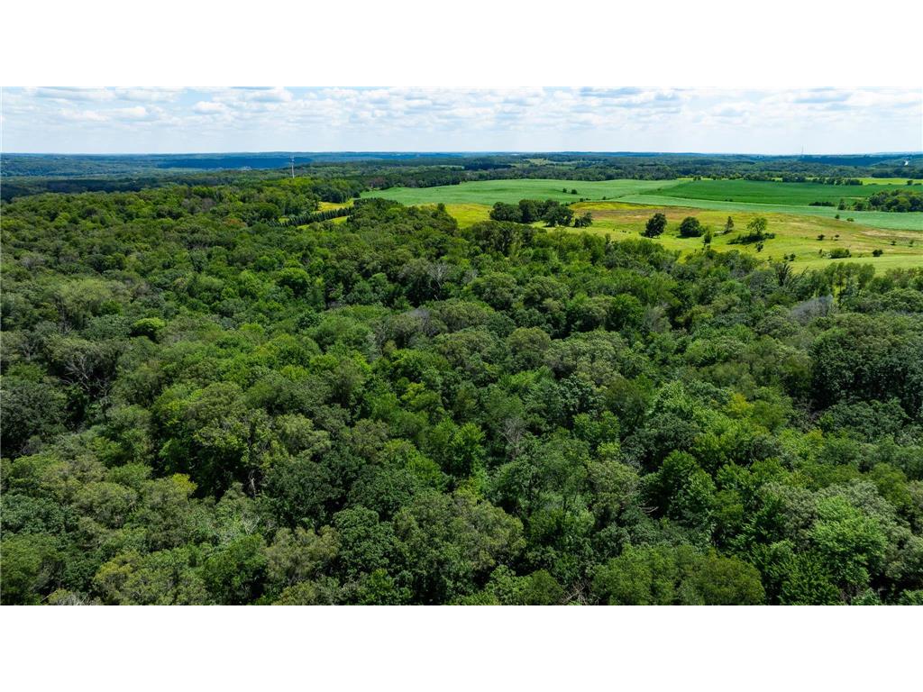 15055 Paul Avenue N May Twp MN 55047 6746351 image39