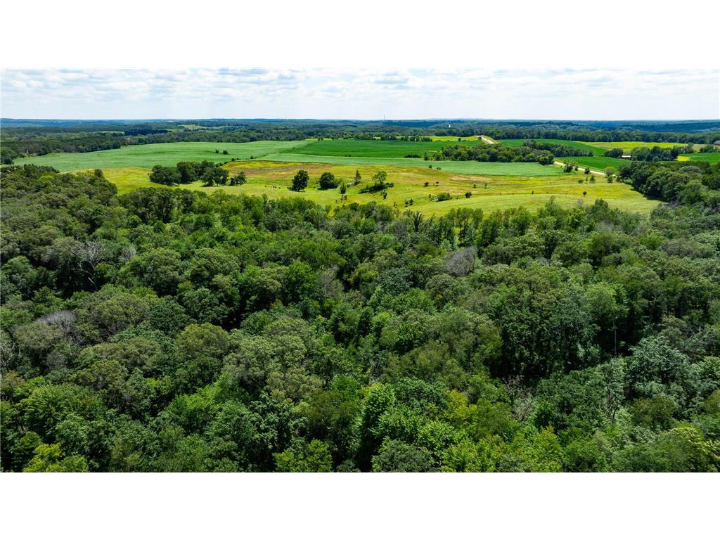 15055 Paul Avenue N May Twp MN 55047 6746351 image40