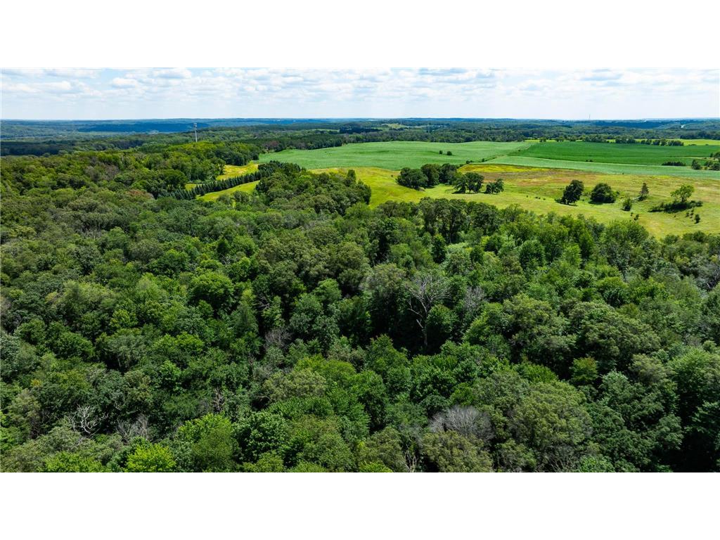 15055 Paul Avenue N May Twp MN 55047 6746351 image41