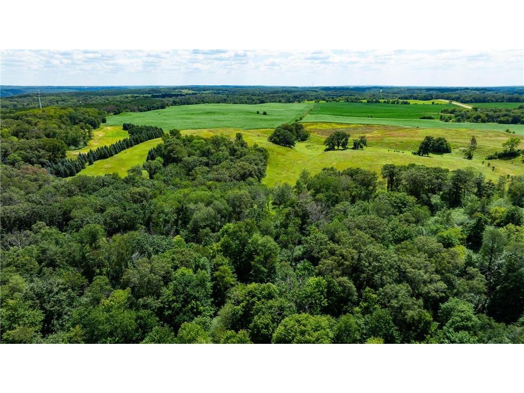 15055 Paul Avenue N May Twp MN 55047 6746351 image42