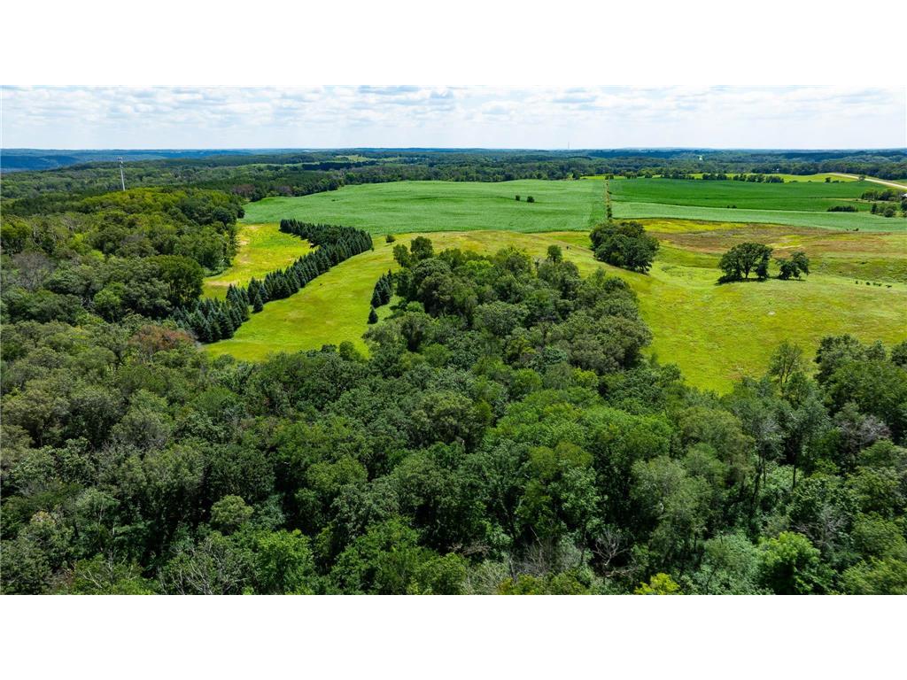 15055 Paul Avenue N May Twp MN 55047 6746351 image43