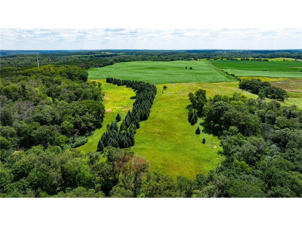 15055 Paul Avenue N May Twp MN 55047 6746351 image44