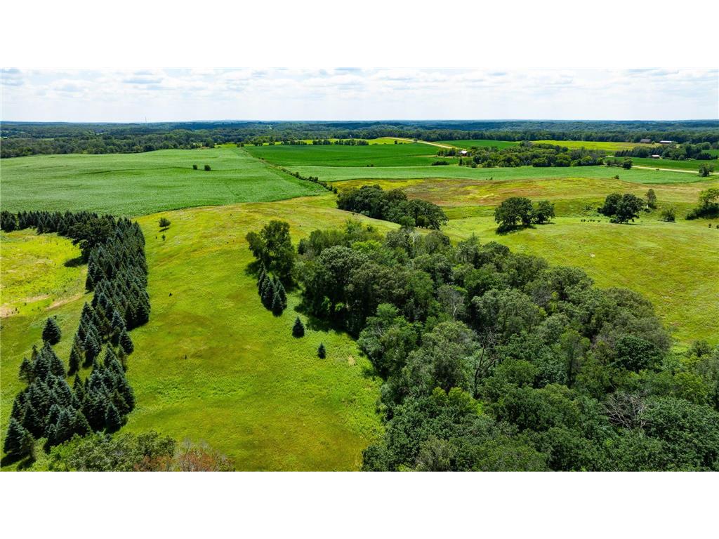 15055 Paul Avenue N May Twp MN 55047 6746351 image45