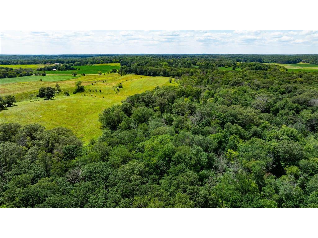 15055 Paul Avenue N May Twp MN 55047 6746351 image46