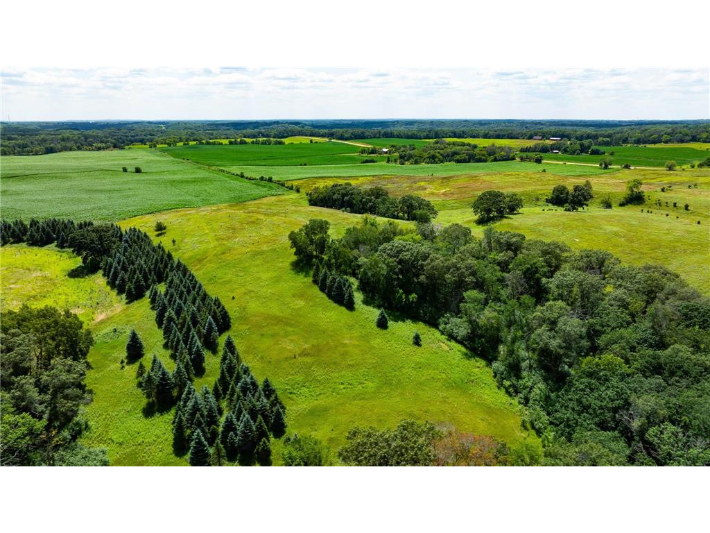 15055 Paul Avenue N May Twp MN 55047 6746351 image47