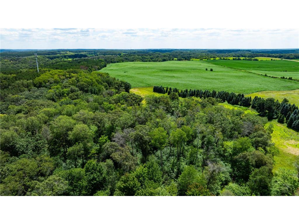 15055 Paul Avenue N May Twp MN 55047 6746351 image49