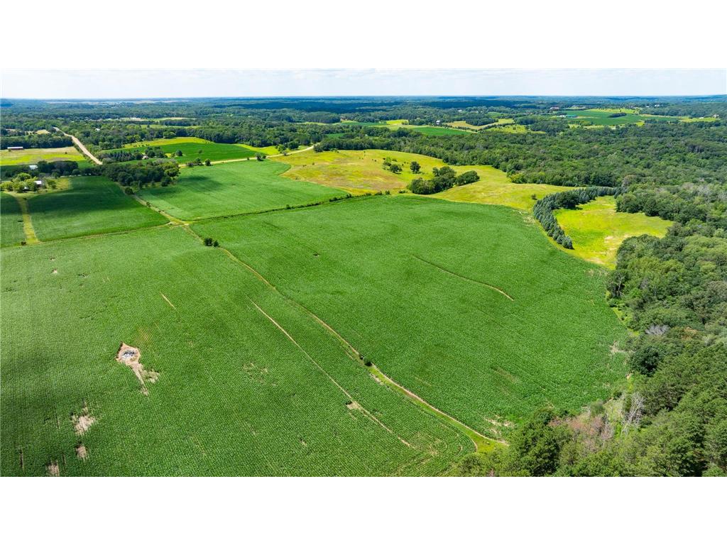 15055 Paul Avenue N May Twp MN 55047 6746351 image5