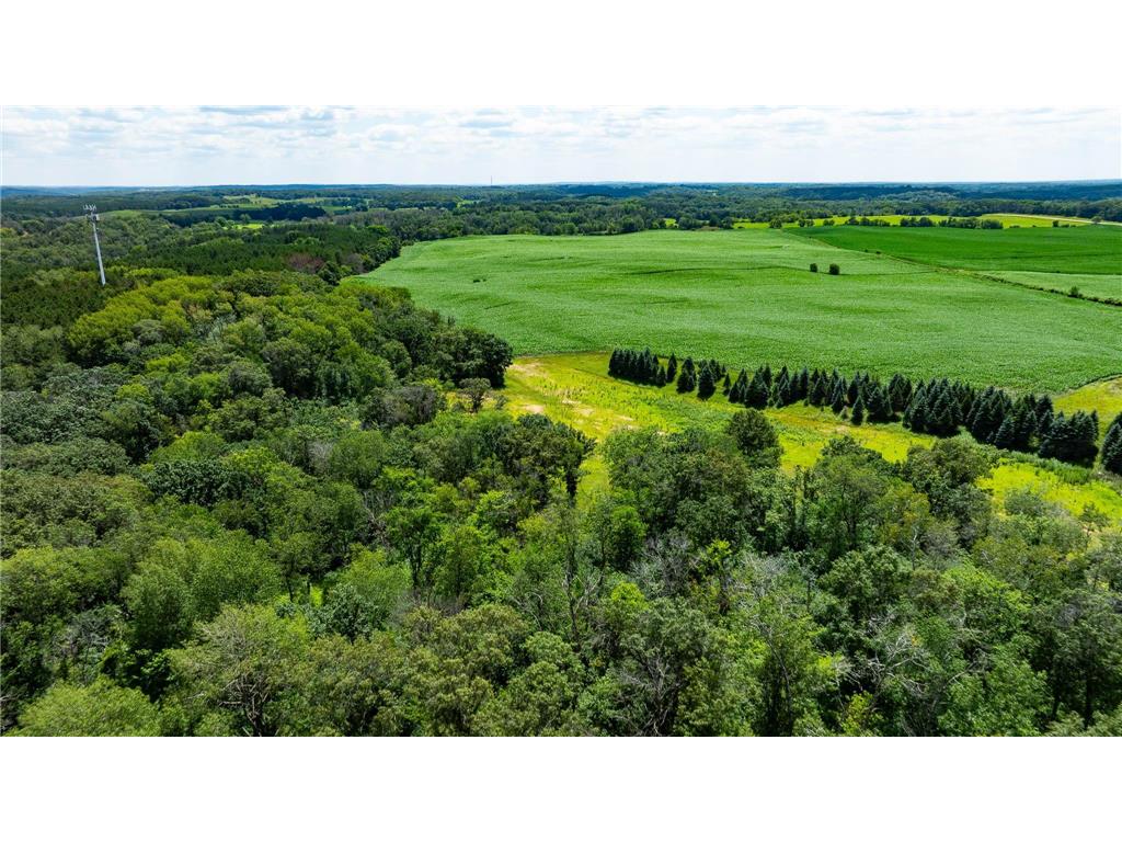 15055 Paul Avenue N May Twp MN 55047 6746351 image50