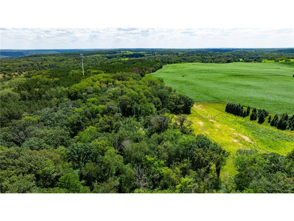 15055 Paul Avenue N May Twp MN 55047 6746351 image51