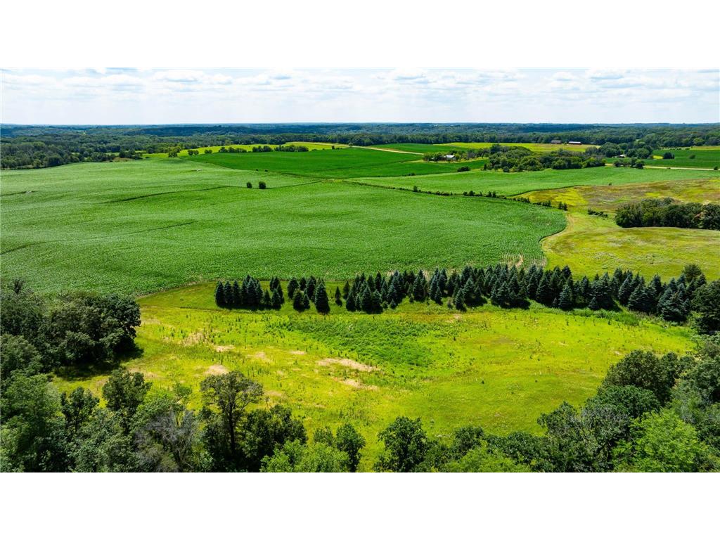 15055 Paul Avenue N May Twp MN 55047 6746351 image53