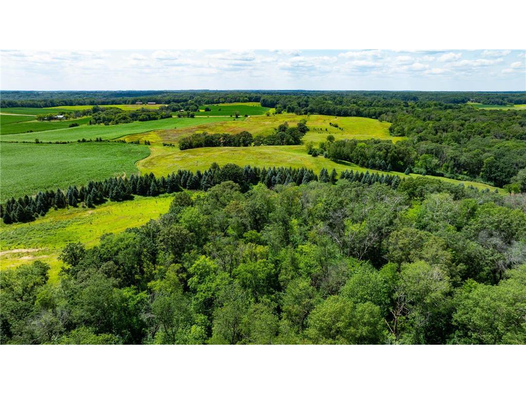 15055 Paul Avenue N May Twp MN 55047 6746351 image54