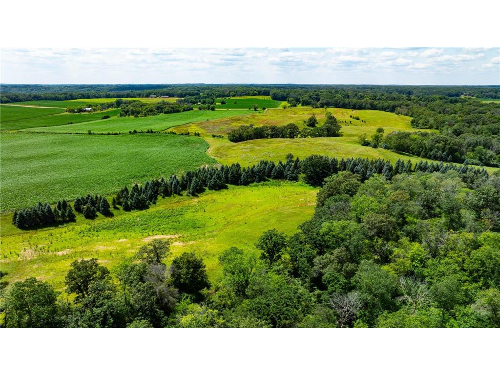 15055 Paul Avenue N May Twp MN 55047 6746351 image55