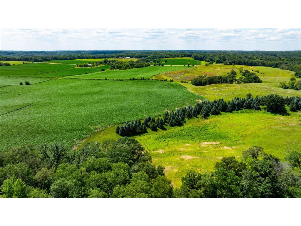 15055 Paul Avenue N May Twp MN 55047 6746351 image56