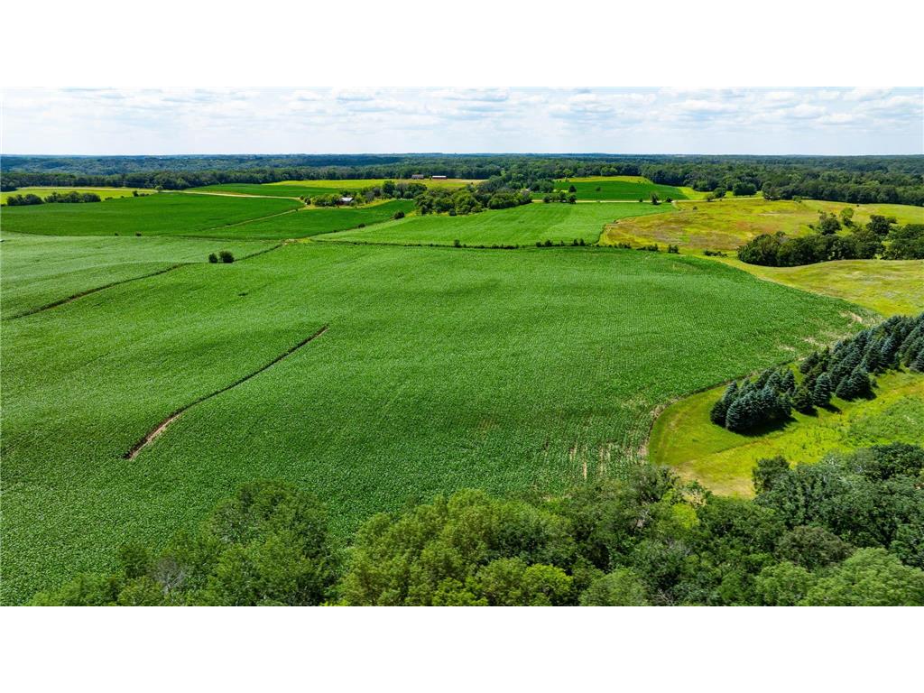 15055 Paul Avenue N May Twp MN 55047 6746351 image57