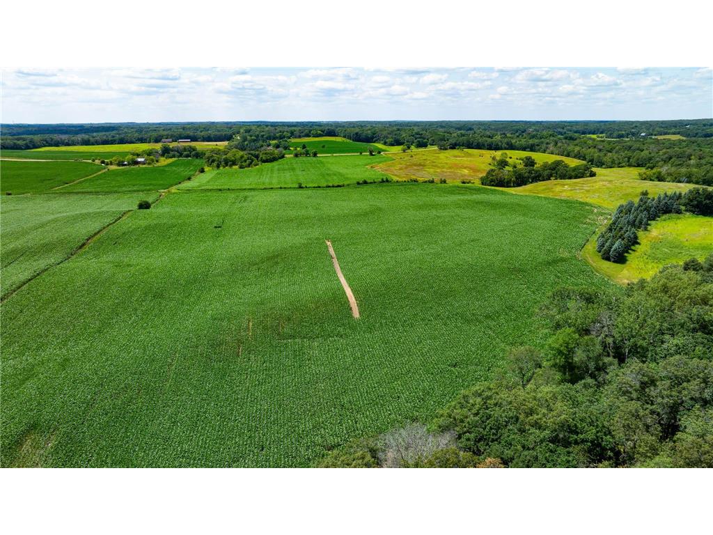 15055 Paul Avenue N May Twp MN 55047 6746351 image59