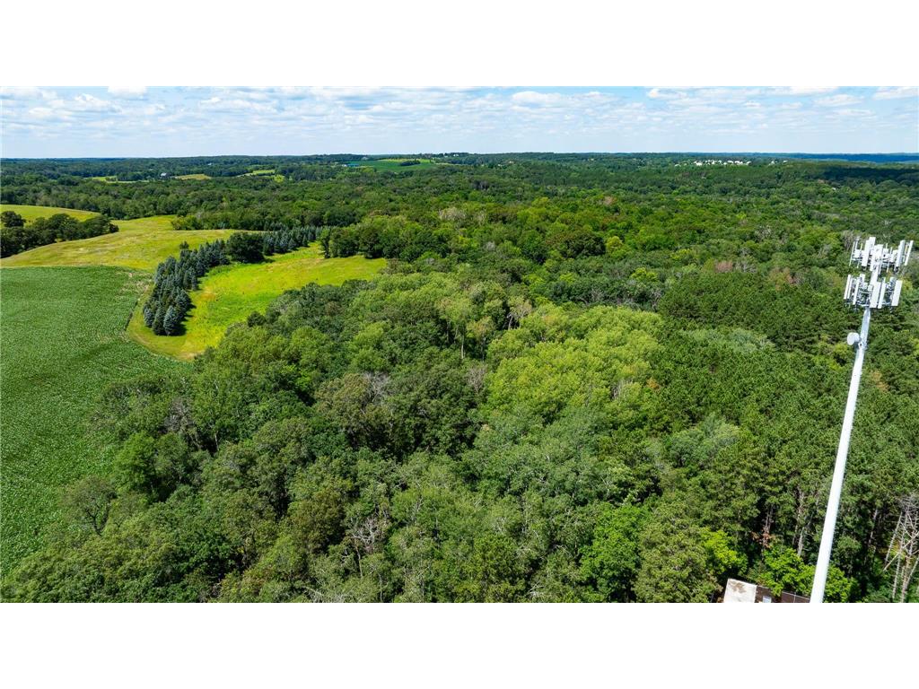 15055 Paul Avenue N May Twp MN 55047 6746351 image60