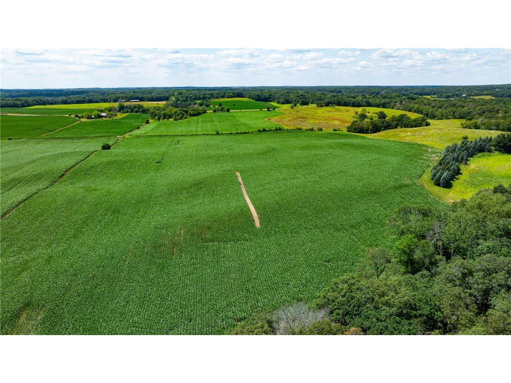 15055 Paul Avenue N May Twp MN 55047 6746351 image61