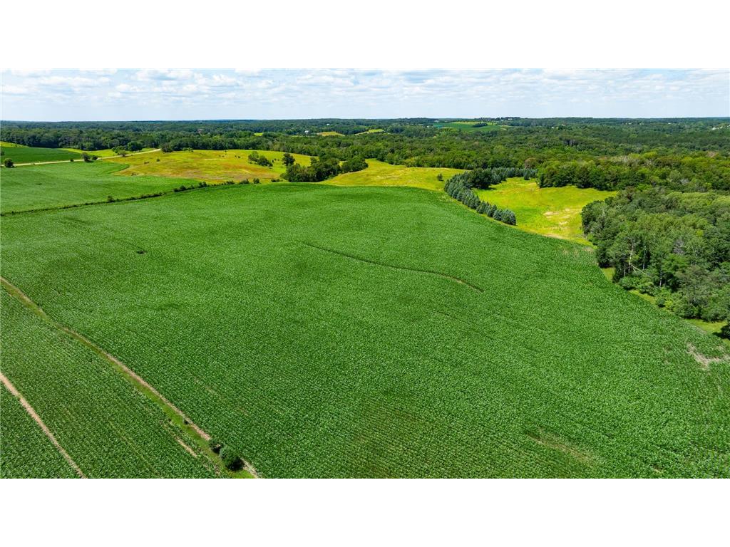 15055 Paul Avenue N May Twp MN 55047 6746351 image63