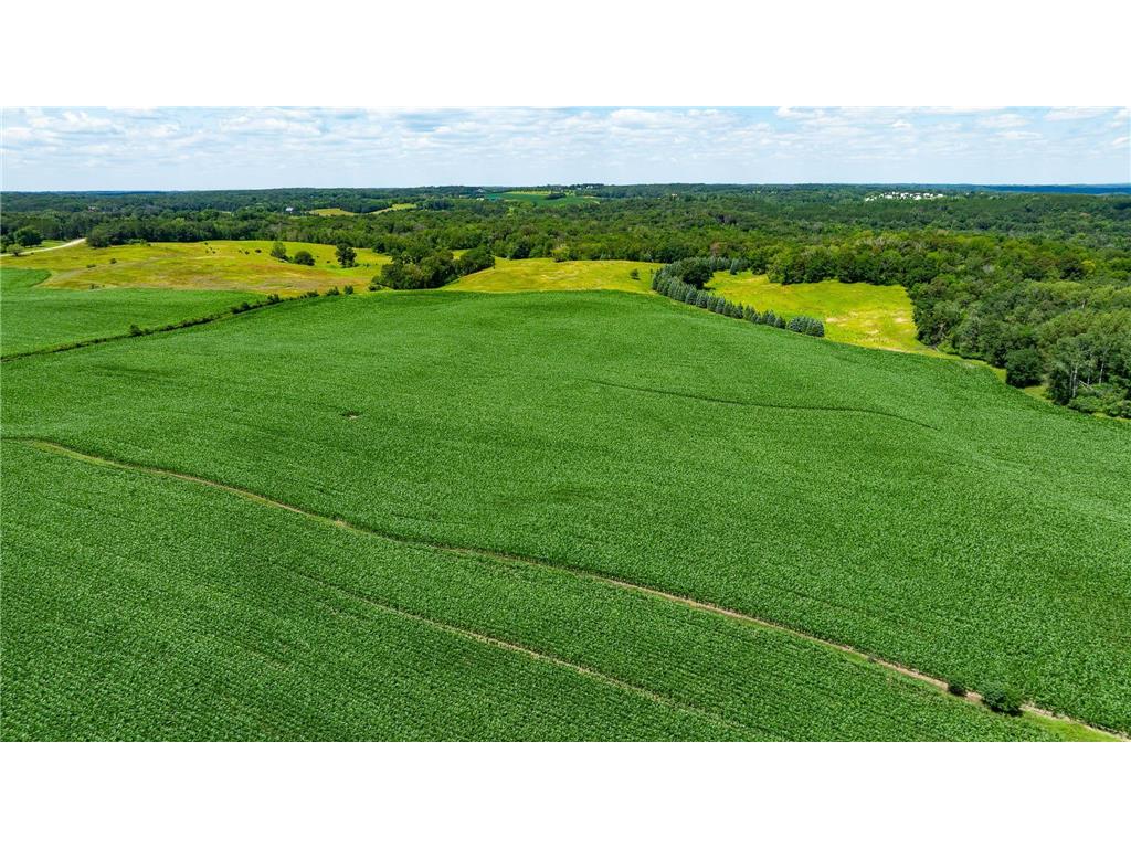 15055 Paul Avenue N May Twp MN 55047 6746351 image64