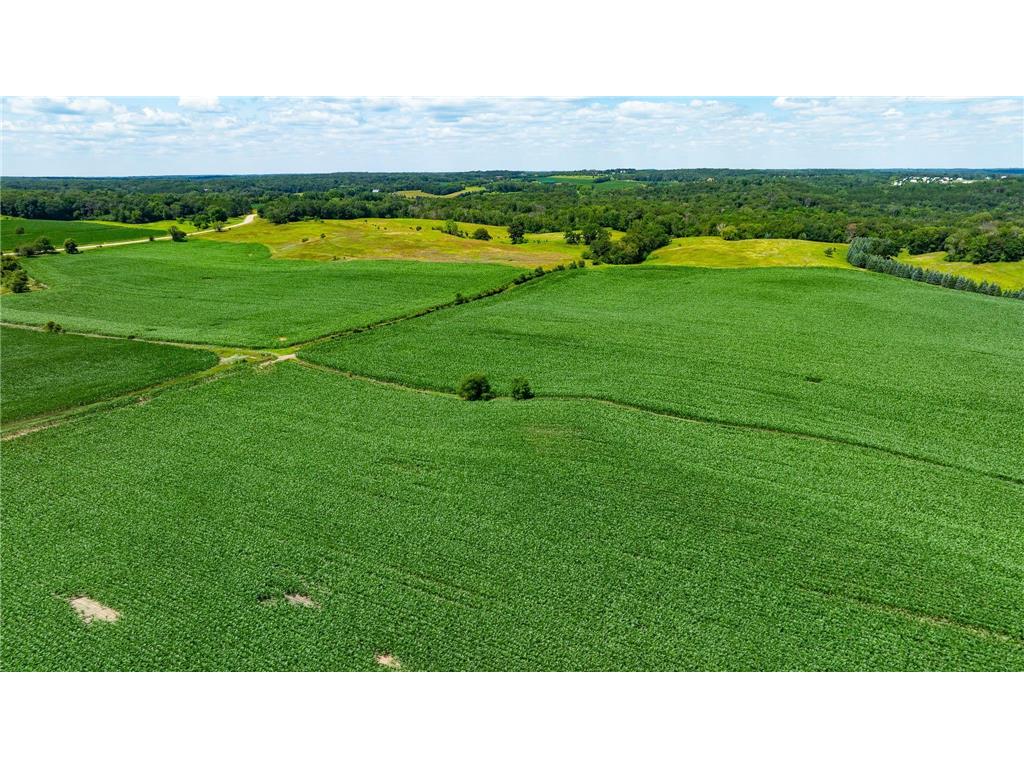 15055 Paul Avenue N May Twp MN 55047 6746351 image66