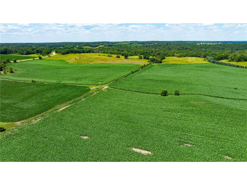 15055 Paul Avenue N May Twp MN 55047 6746351 image67