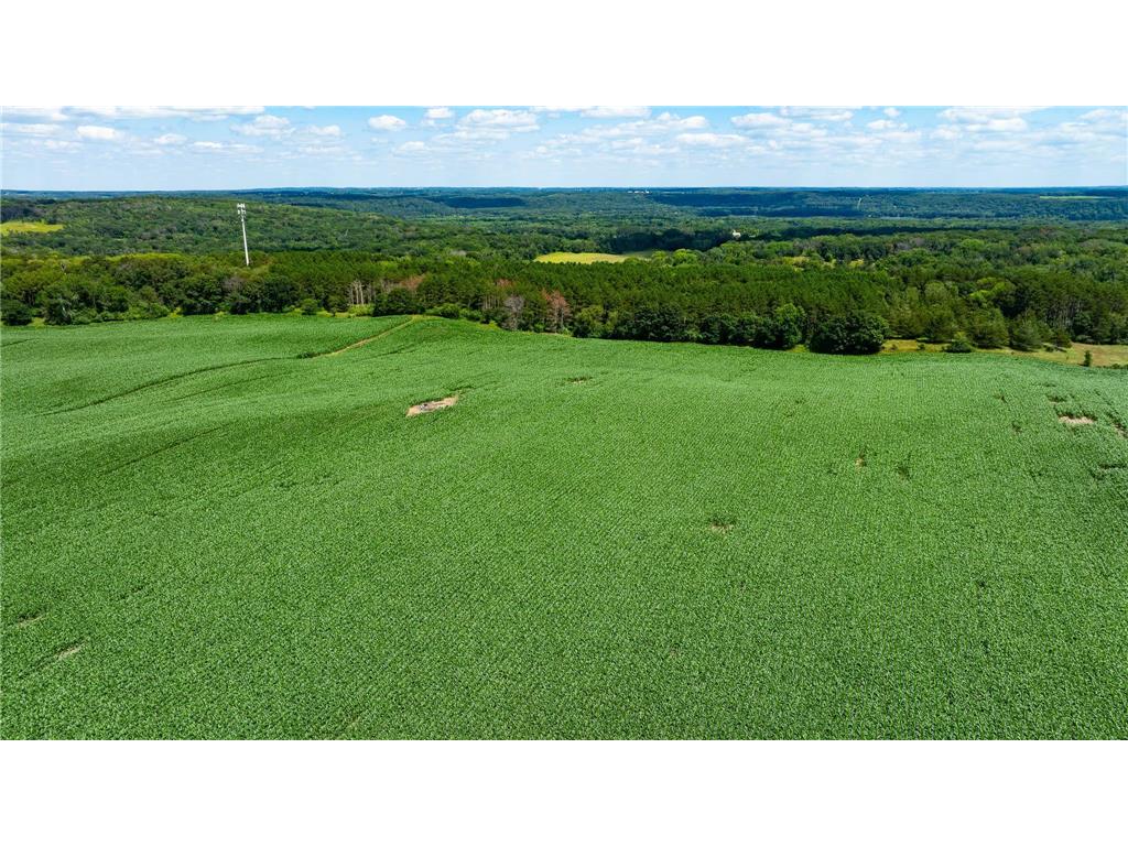 15055 Paul Avenue N May Twp MN 55047 6746351 image68