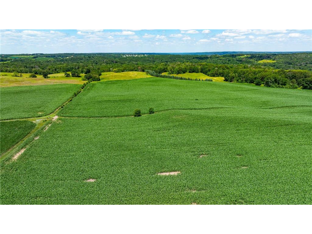 15055 Paul Avenue N May Twp MN 55047 6746351 image69