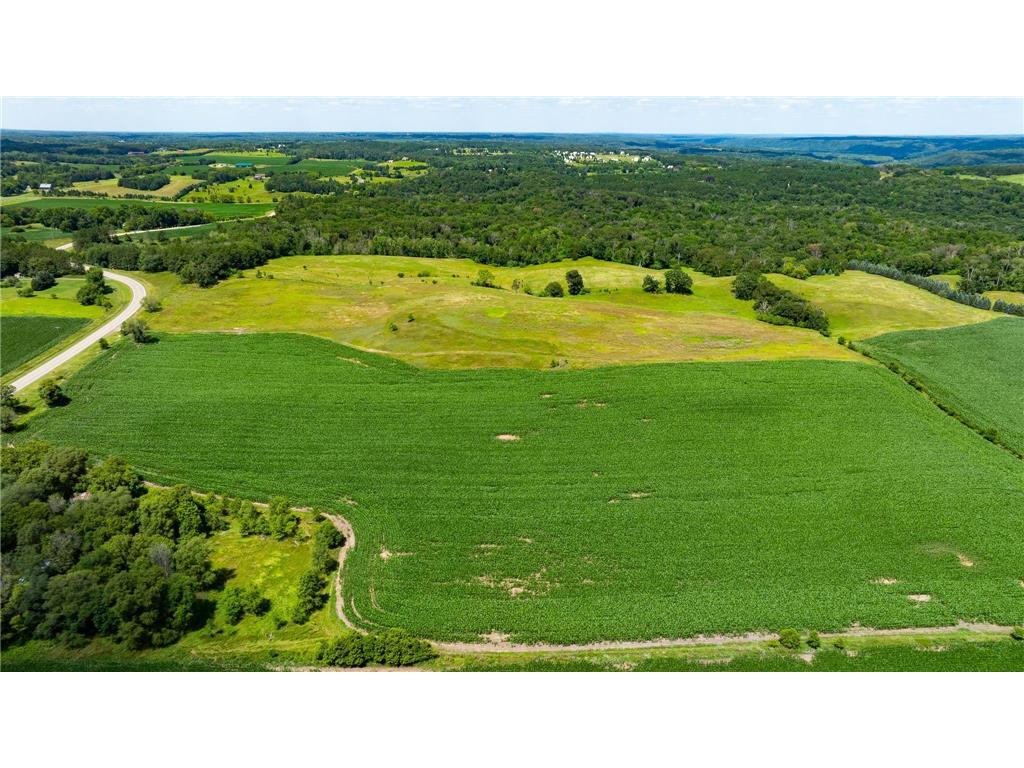 15055 Paul Avenue N May Twp MN 55047 6746351 image7