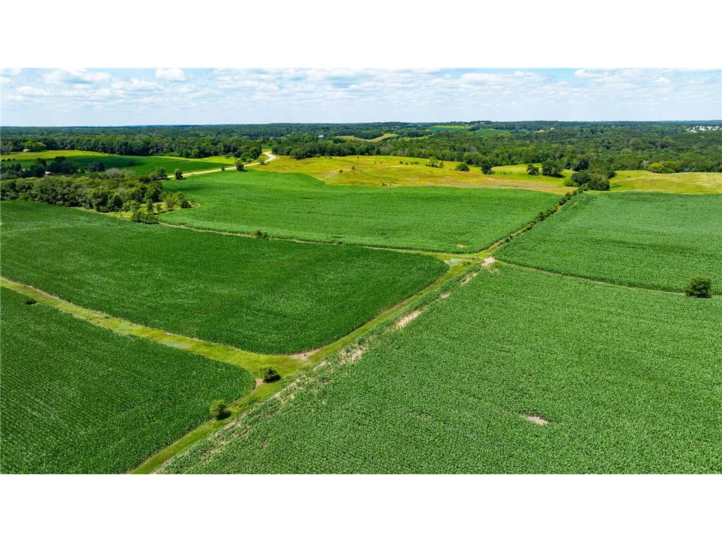 15055 Paul Avenue N May Twp MN 55047 6746351 image70