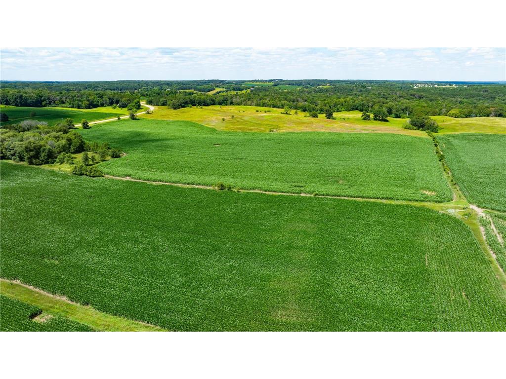 15055 Paul Avenue N May Twp MN 55047 6746351 image72