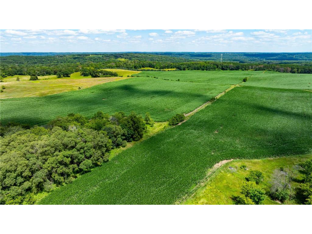 15055 Paul Avenue N May Twp MN 55047 6746351 image77