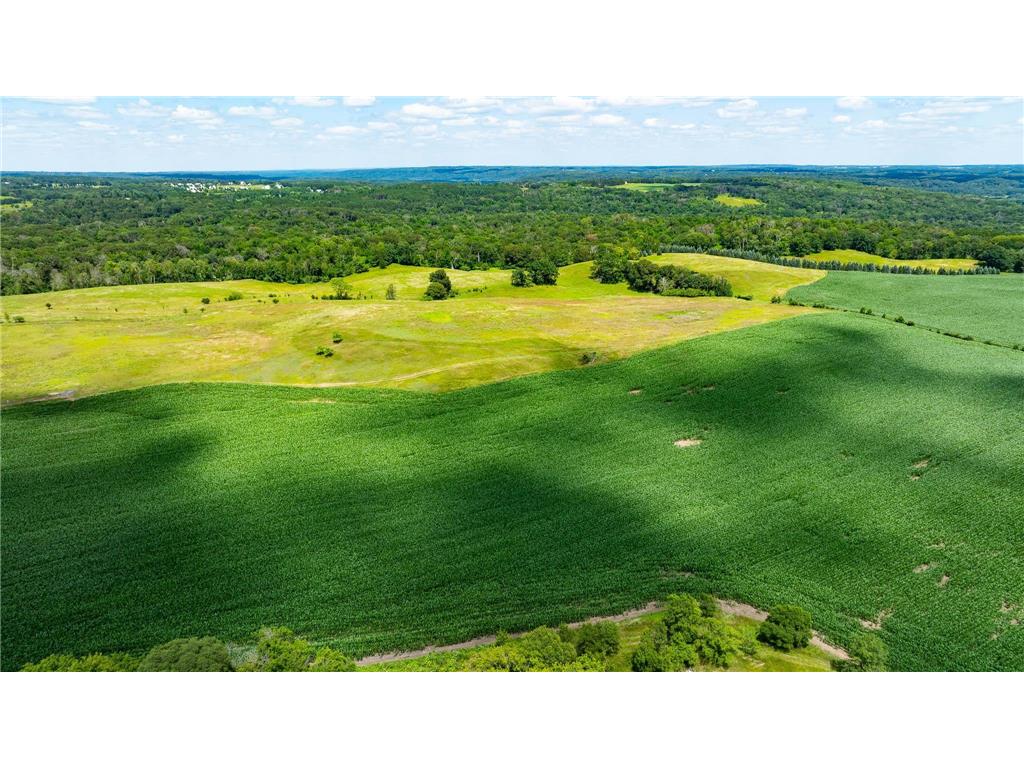 15055 Paul Avenue N May Twp MN 55047 6746351 image79