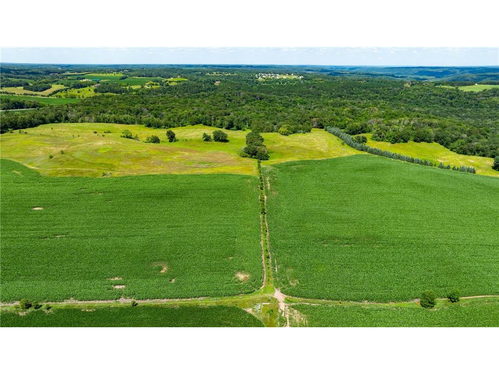 15055 Paul Avenue N May Twp MN 55047 6746351 image8