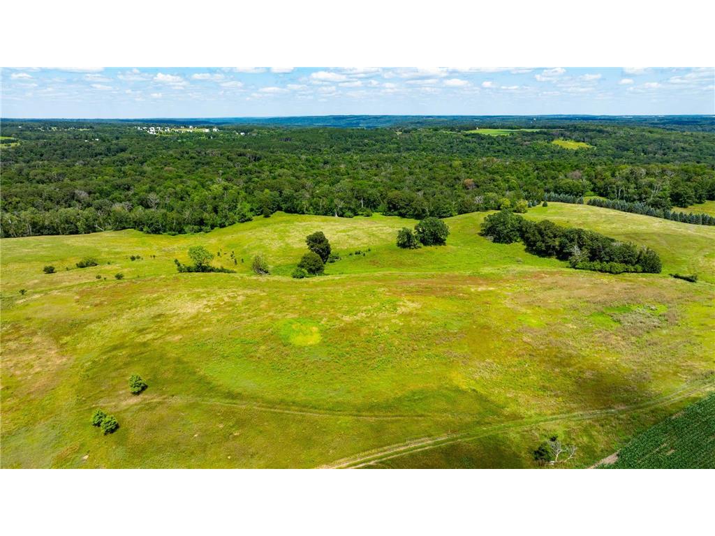 15055 Paul Avenue N May Twp MN 55047 6746351 image80