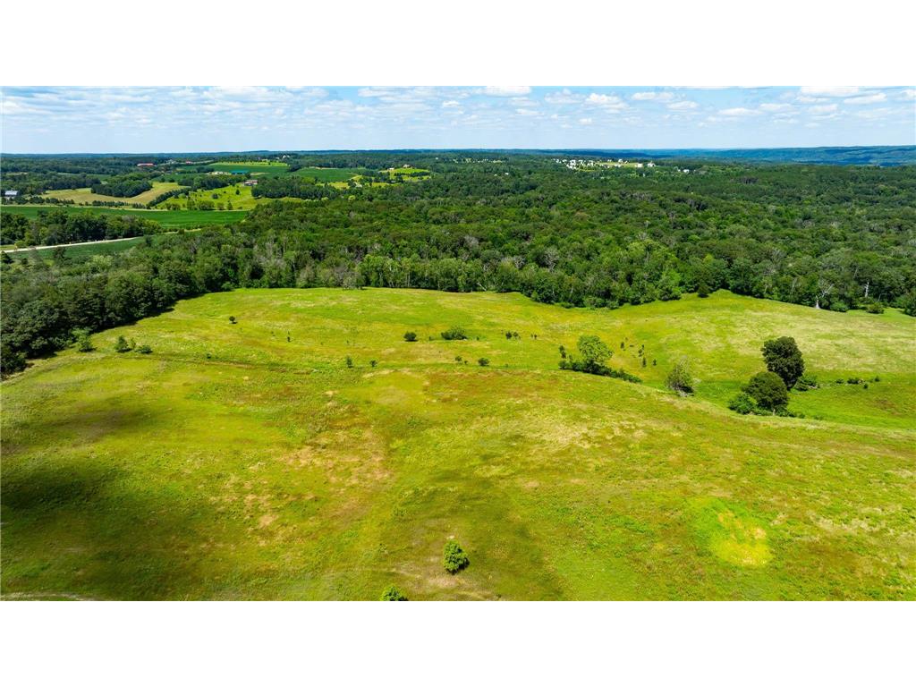 15055 Paul Avenue N May Twp MN 55047 6746351 image81