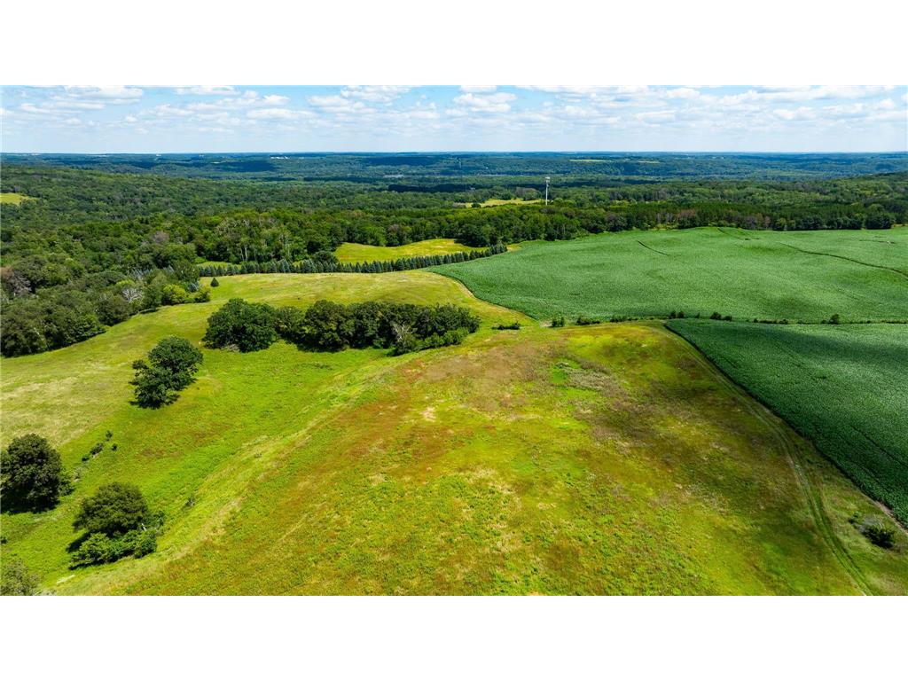 15055 Paul Avenue N May Twp MN 55047 6746351 image87