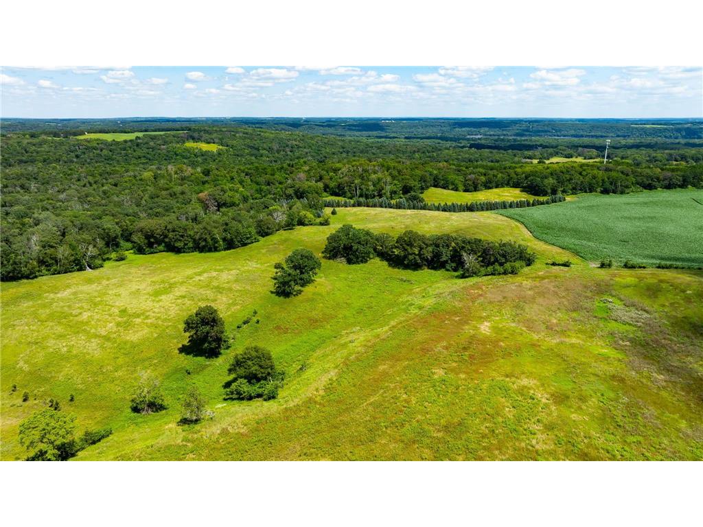 15055 Paul Avenue N May Twp MN 55047 6746351 image88