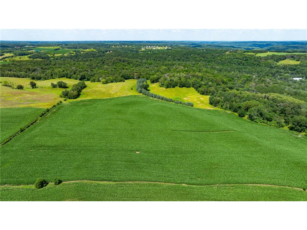 15055 Paul Avenue N May Twp MN 55047 6746351 image9