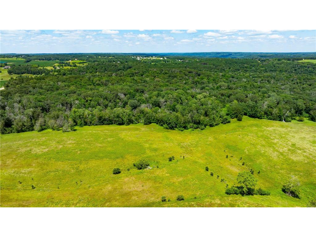 15055 Paul Avenue N May Twp MN 55047 6746351 image90