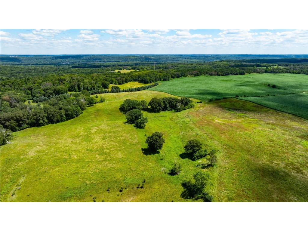 15055 Paul Avenue N May Twp MN 55047 6746351 image93