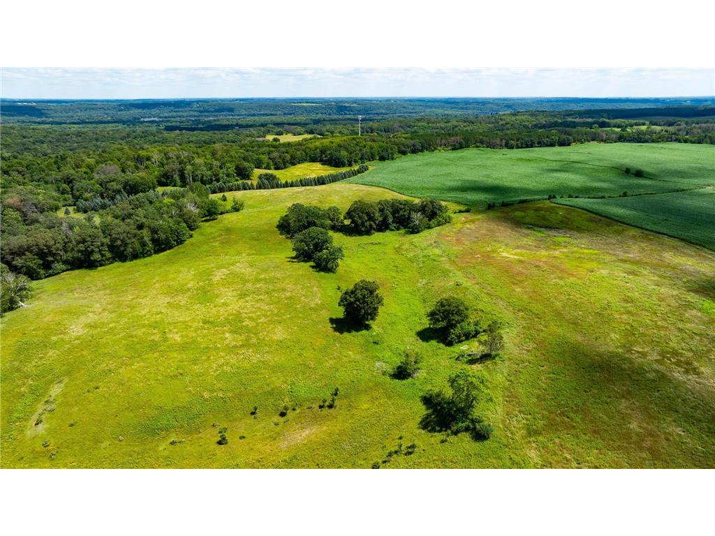 15055 Paul Avenue N May Twp MN 55047 6746351 image94