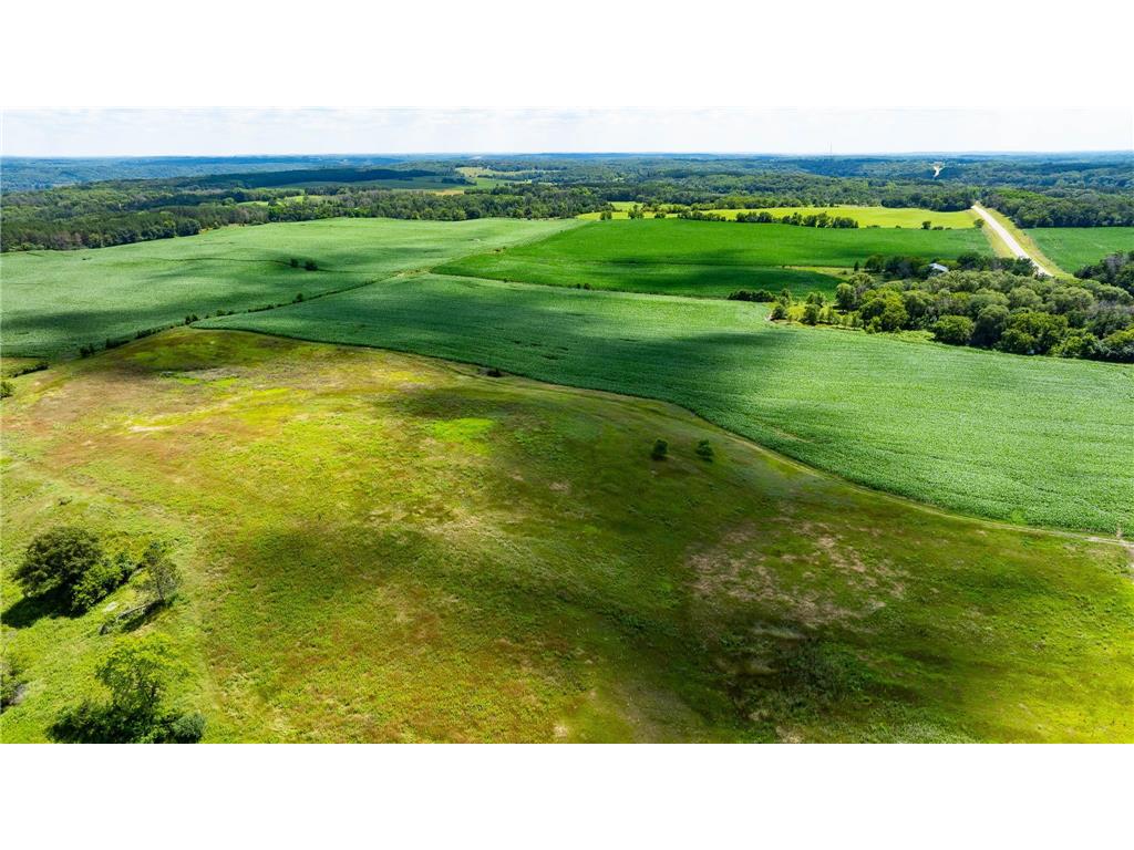 15055 Paul Avenue N May Twp MN 55047 6746351 image95