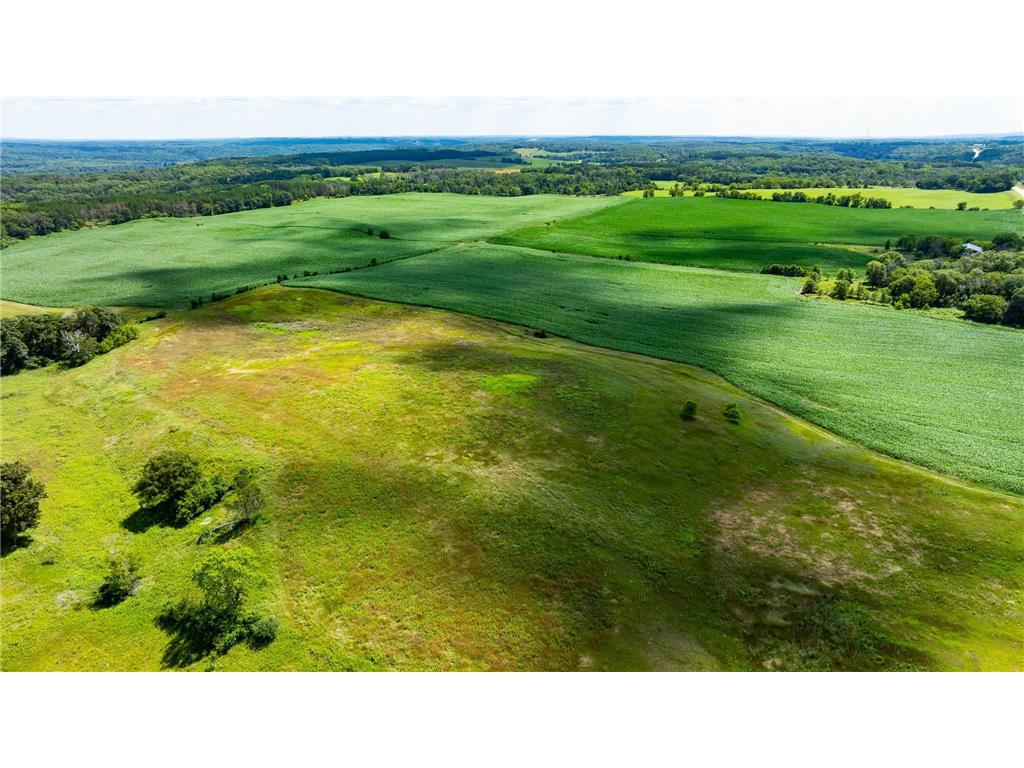 15055 Paul Avenue N May Twp MN 55047 6746351 image96