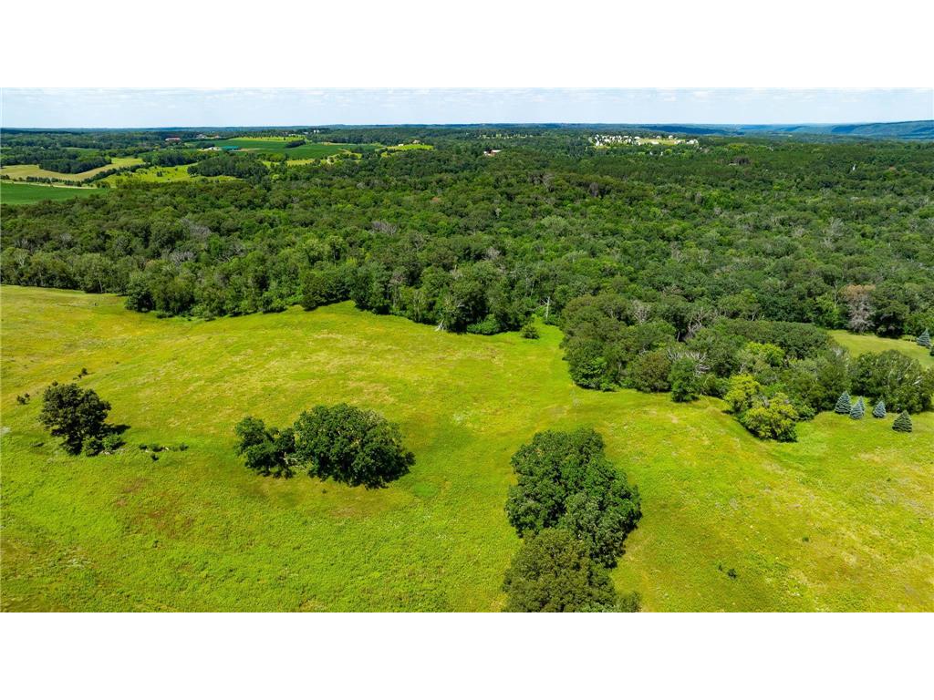 15055 Paul Avenue N May Twp MN 55047 6746351 image97