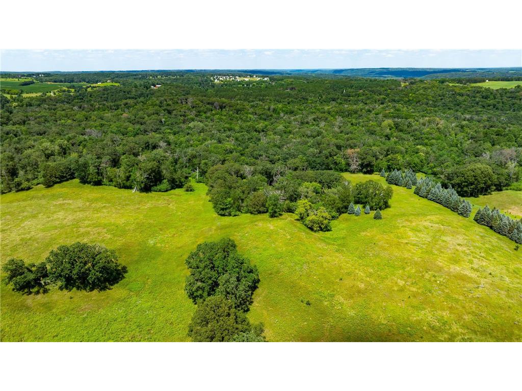 15055 Paul Avenue N May Twp MN 55047 6746351 image98