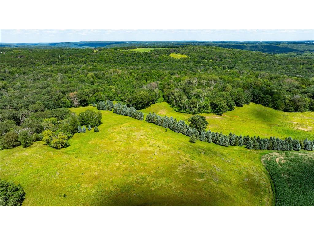 15055 Paul Avenue N May Twp MN 55047 6746351 image99