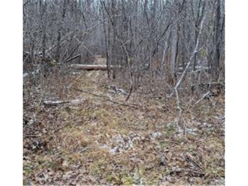 15057 Canyon Way Pine City MN 55063 7017850 image2