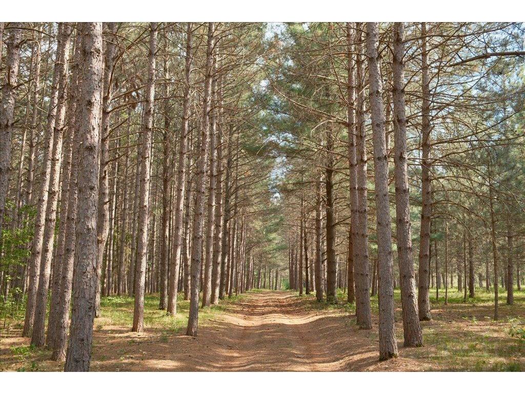 15069 County Rd 109 Mission Twp MN 56465 - Upper Mission 7108839 image1